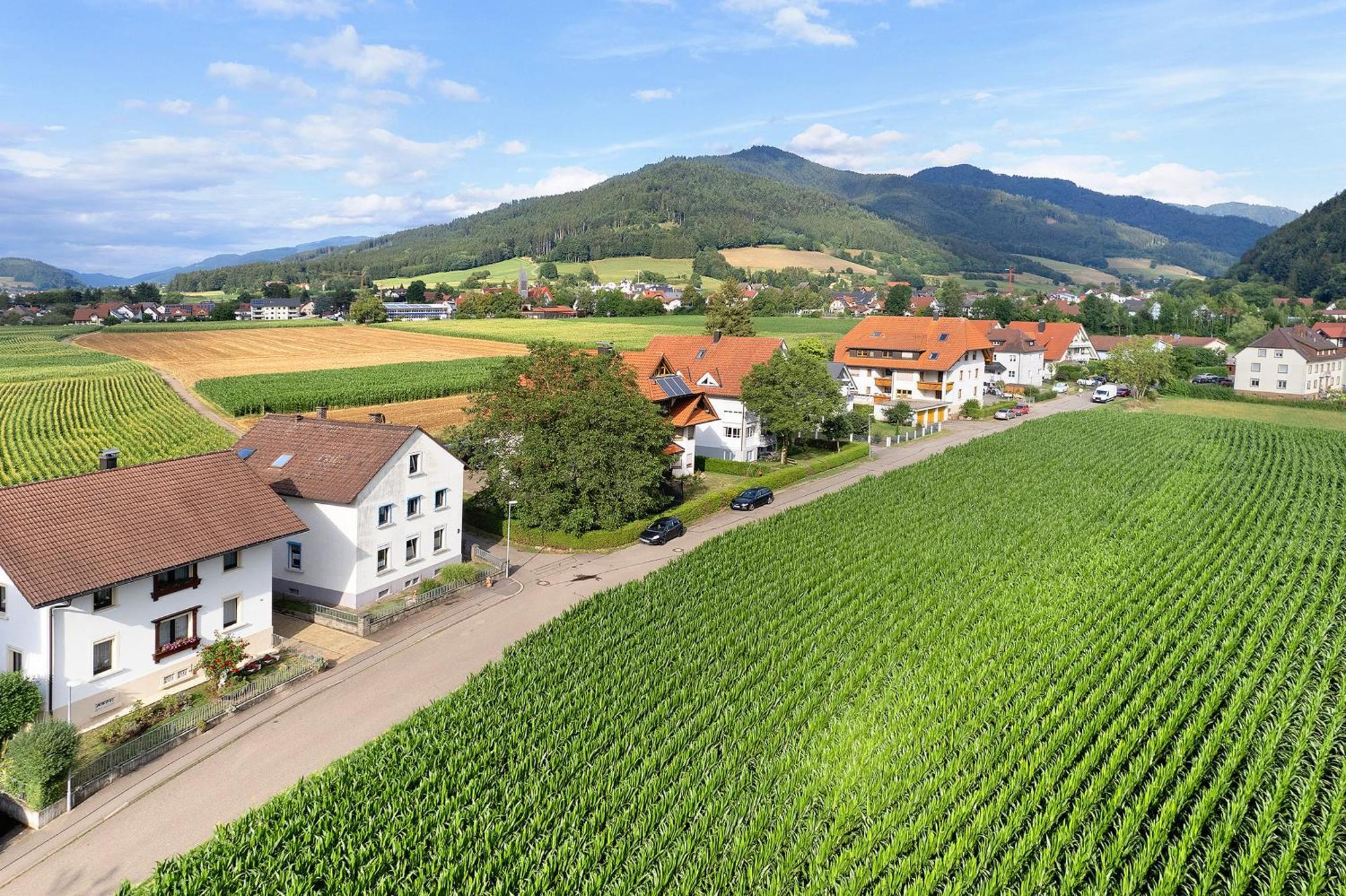 Ferienwohnung Emma Gutach im Breisgau Ngoại thất bức ảnh